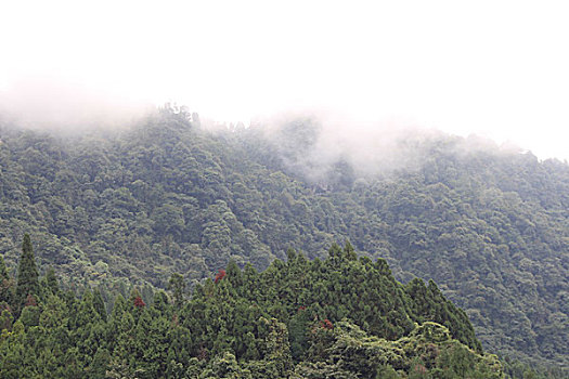 四川邛崃直台羌寨风光