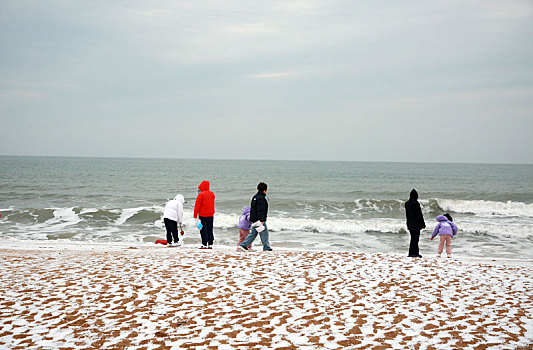 龙年第一场雪悄然而至,游客兴奋异常海边赏雪