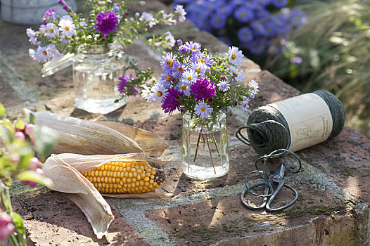 玉米,叶子,衣服,花瓶