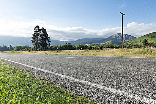 道路,靠近,草场,夏天,新西兰