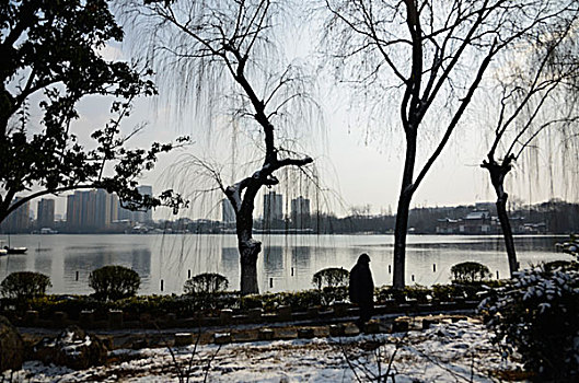 南京雪景