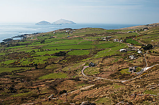 风景,地点,高处,半岛,凯瑞郡,爱尔兰,英国