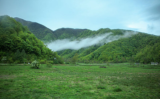 神农架,大九湖,风景,景点,旅游,高山,瀑布,河流,树木,植被,湿地,高原,湖泊,壮观