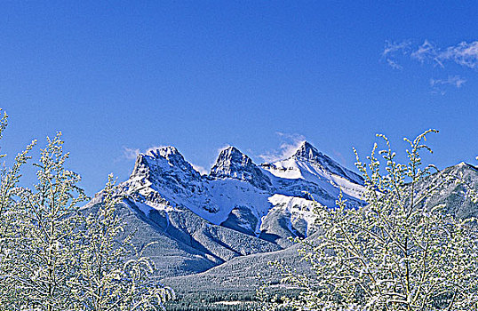 三姐妹山,山峦,艾伯塔省,加拿大