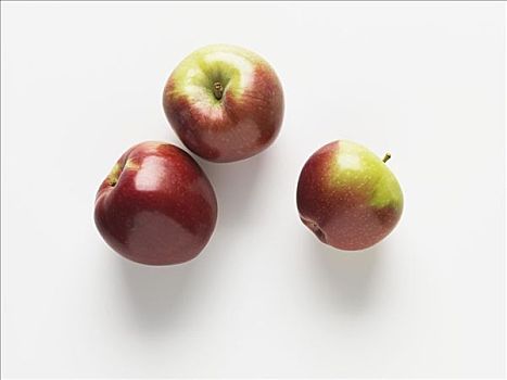 三个,苹果,品种