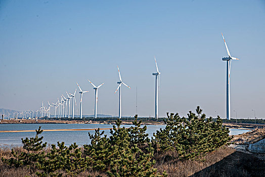 山东威海荣成环海公路海湾边的风力发电机群