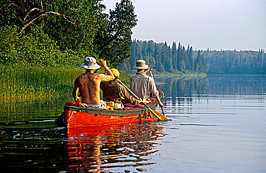 家庭,划船,河,安大略省,加拿大
