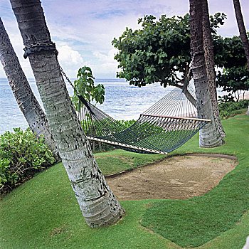 吊床,悬挂,两个,棕榈树,毛伊岛,夏威夷