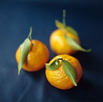 三个,柑桔,橘子
