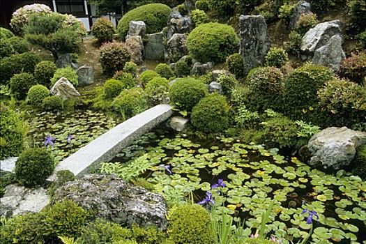 日本,本州,关西,京都,佛教寺庙,花园