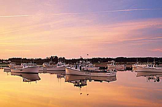 日落,港口,爱德华王子岛,加拿大