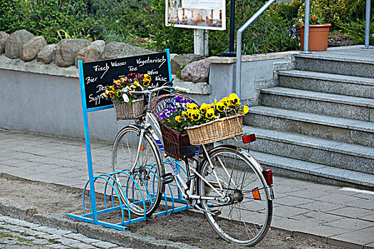 自行车,装饰,花,塞林,吕根岛,岛屿,梅克伦堡前波莫瑞州,德国,欧洲