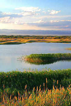 新疆艾比湖及其湿地