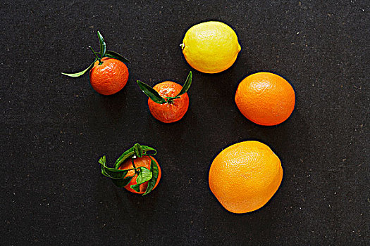 种类,柑橘,俯视