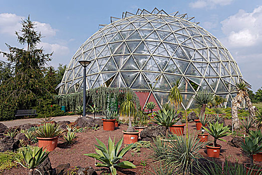 圆顶,温室,植物园,杜塞尔多夫,莱茵兰,北莱茵威斯特伐利亚,德国,欧洲