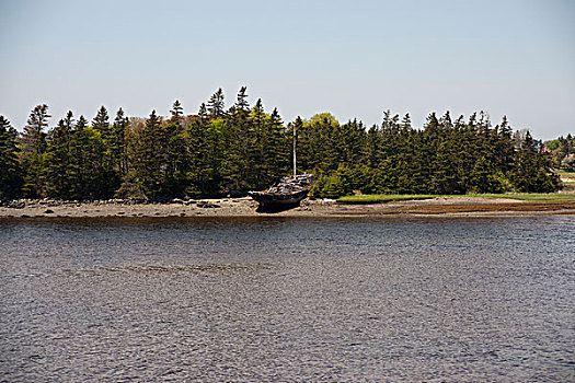 残骸,船,岸边,新斯科舍省,加拿大