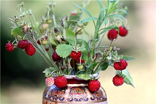 野草莓,花束