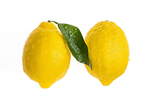 两个表面布满水珠的柠檬放置在白色的背景中