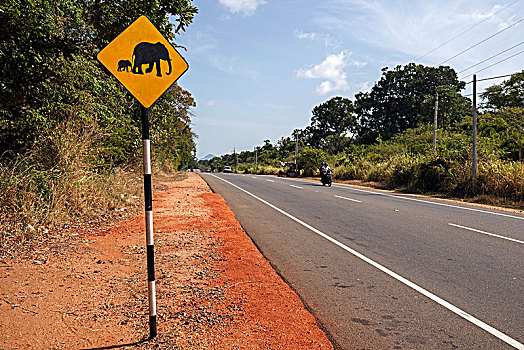 路标,大象,北方,中央省,斯里兰卡,亚洲
