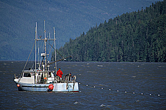 测验,渔业,河,不列颠哥伦比亚省,加拿大