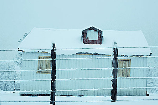 雪景,木房子