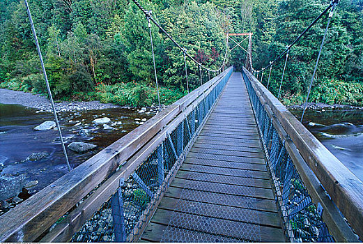 吊桥,西区国家公园,南岛,新西兰