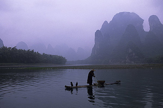 中国,广西,靠近,桂林,漓江,雨,捕鱼者,竹子,筏子,鸬鹚