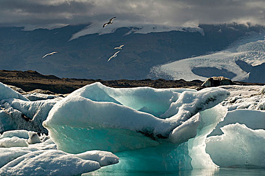 结冰,泻湖,西南部,冰岛,斯堪的纳维亚,欧洲