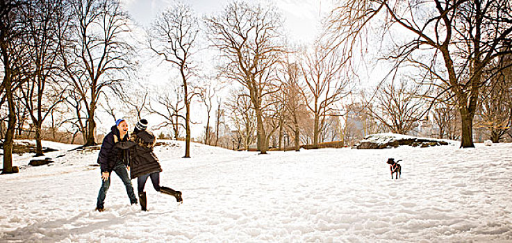 年轻,情侣,狗,玩耍,雪,中央公园,纽约,美国