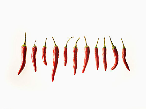 红色,辣椒,排列,上方,白色背景