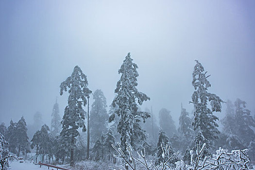 峨眉山雪景