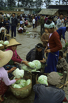 中国,云南,市场一景,人,称重,卷心菜