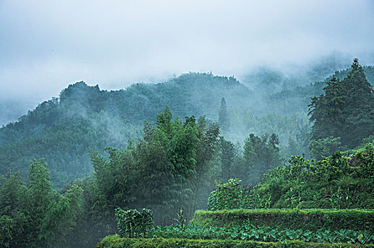 雨雾山景