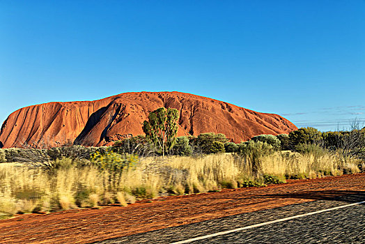 模糊,澳大利亚,概念,荒野,环境,风景,内陆地区