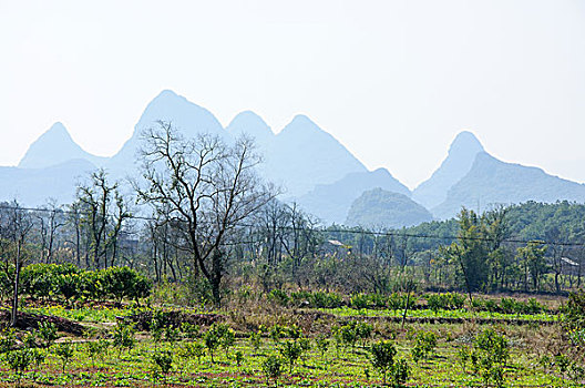 桂林山水风光