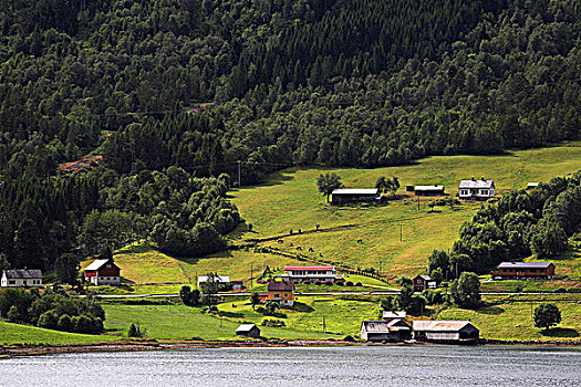 挪威,農場