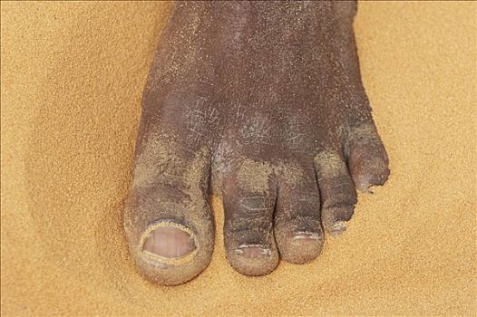 脚,脚趾,一个,男人,沙子