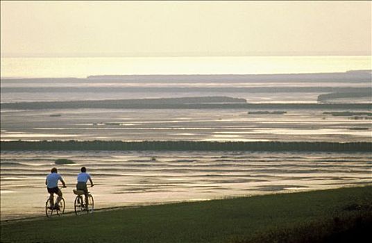 德国,伴侣,骑自行车,北海,日落