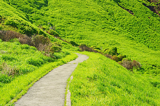 山,熊本,日本