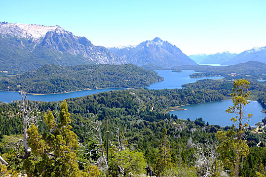 俯视,纳韦尔瓦皮,国家公园,湖,阿根廷