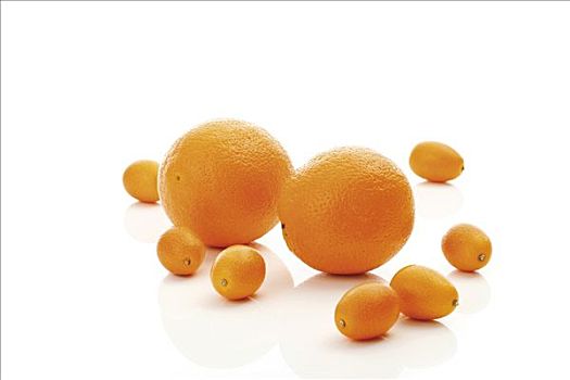 橘子,柑橘