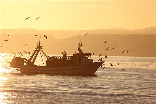渔船,背影,家,哥斯达黎加,安达卢西亚,西班牙