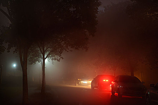 雾霾,大雾,夜晚,浓雾,住宅区,汽车,小区,灯光,路灯,树木,马路,街道,小巷,车灯