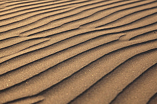 沙丘,加纳利群岛,西班牙