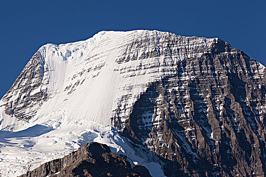 顶峰,罗布森山,罗布森山省立公园,不列颠哥伦比亚省,省,加拿大,北美