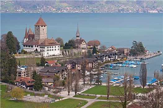 教堂,湖,瑞士,俯视
