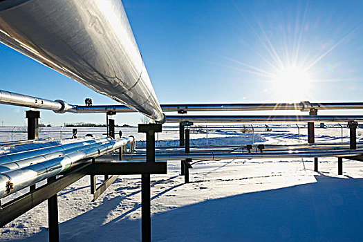 汽油,管道,冬天,雪,艾伯塔省,加拿大
