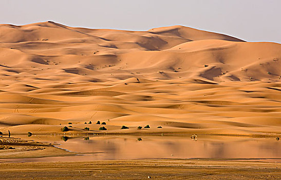 暂时,沙漠,湖,沙丘,湿,冬天,高,沙子,靠近,梅如卡,撒哈拉沙漠,摩洛哥,非洲