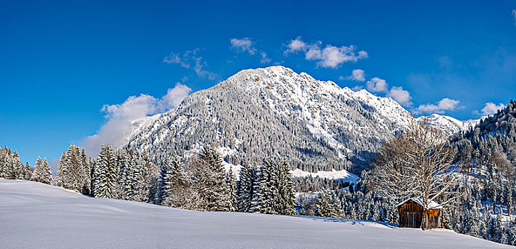 雪景,后面,巴伐利亚,德国,欧洲