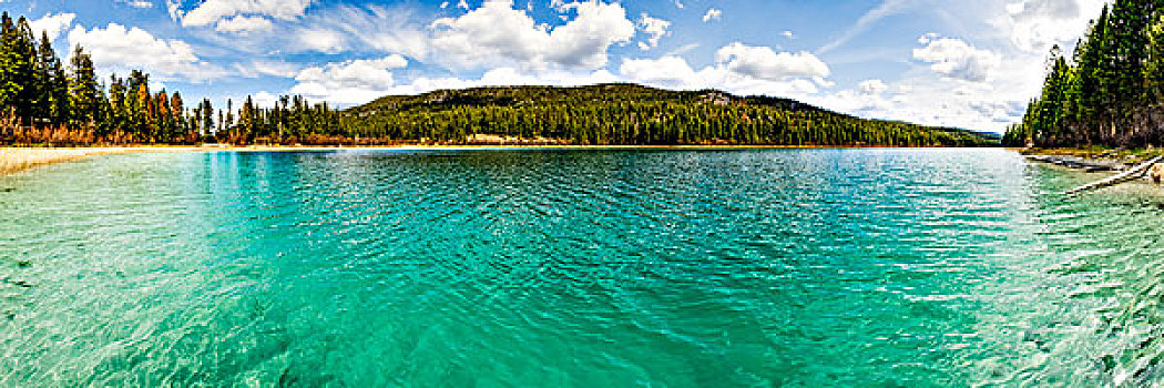 青绿色,捕鱼,湖,不列颠哥伦比亚省,加拿大